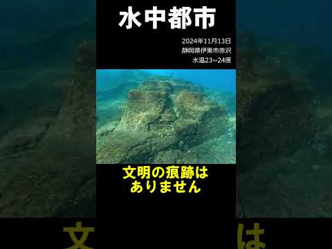 海の中のマチュピチュ #水中映像 #海底遺跡 #凄い小さい