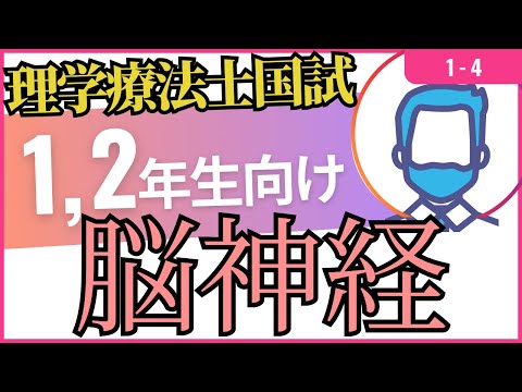 1-4　脳神経