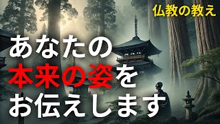 あなたの本来の姿に戻る：仏教の教えで心の重荷を解放する方法