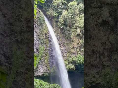 La Fortuna waterfall Costa Rica #waterfall #costarica #lafortuna #travel #bucketlist #ytshorts #yt