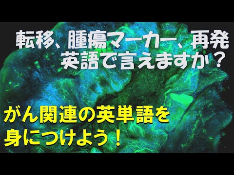 がん関連用語①: 医療英単語シャドーイング・クイックレスポンス No.8