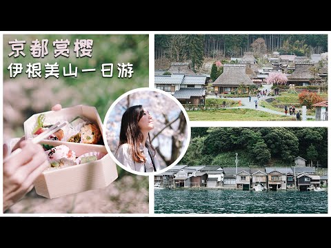 京都賞櫻🌸 ｜海津大崎櫻花大道｜伊根舟屋｜美山町小合掌村｜JAPAN TRAVEL VLOG KYOTO