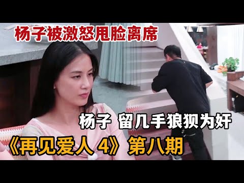 【米虫】扬子怒火中烧当场甩脸离去，李行亮纳闷两人脑袋被驴踢《再见爱人4》第8期