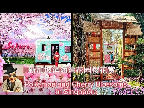 樱花赏2023 Sakura Singapore Hanami, Discover in Gardens by the Bay 2023.