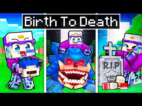 BIRTH To DEATH of SHIN SONIC in Minecraft!