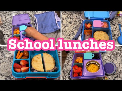 School Lunchbox Ideas / School Lunches for Kids / School Lunch Ideas