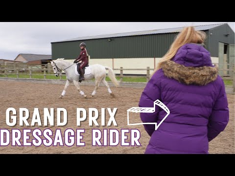 THE MOST STRESSFUL WEEK | From lame to training with Grand Prix Dressage Riders