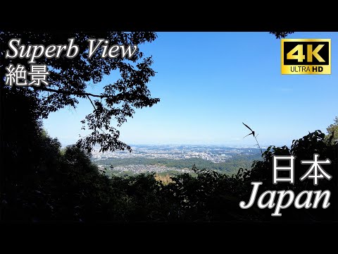 【Walk/散歩】Exploring the Mystical Ruins of Hachioji Castle & Conquering the Majestic Summit!/八王子城跡