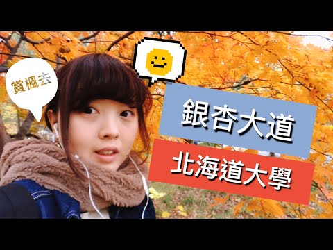 超日常VLOG 秋天就是要到北海道大學賞銀杏賞楓葉  [日本旅行] | Kayo Channel