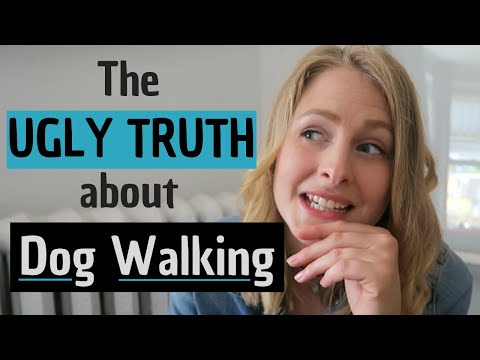 What Nobody Tells You About Dog Walking