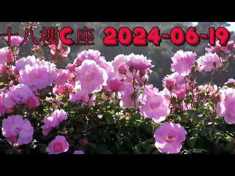 十八樓C座 2024-06-19.