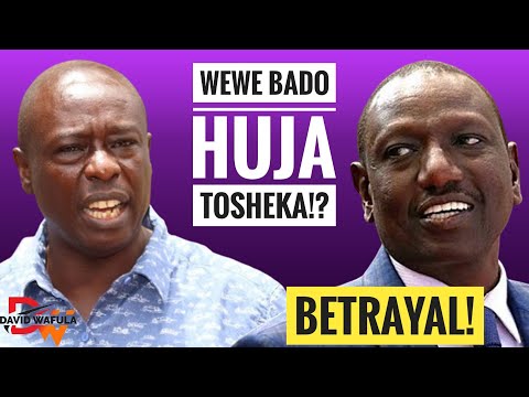 MORE BETRAYAL! PRESIDENT RUTO TURNS IRON FIST TO RIGATHI GACHAGUA APPOINTED PS'S!!