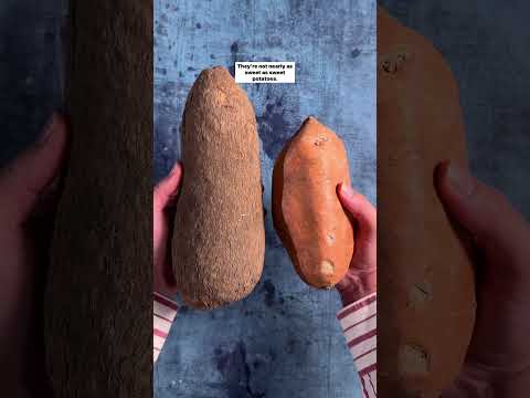 Yams VS Sweet Potatoes