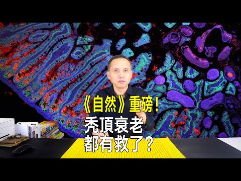 《自然》重磅！英國發佈人類細胞圖譜，禿頭衰老都有救了？