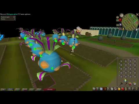 RuneLite Tithe Farm plugin (OSRS)