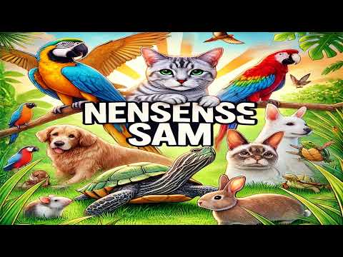 Nonsense_sam Live Stream