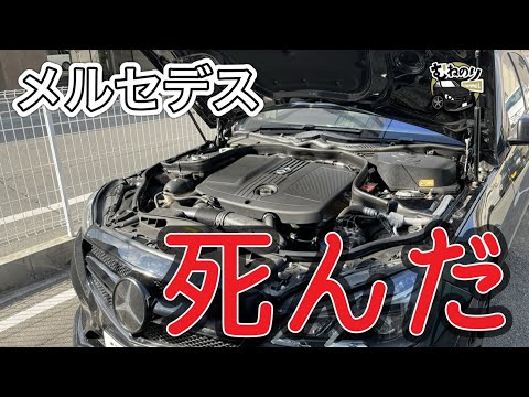 【悲劇⁈】とうとう死んでしまったのか？？DIYで復活出来た👍