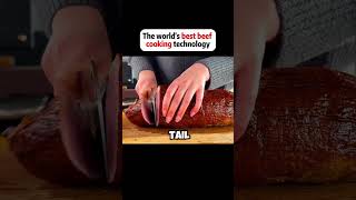 The World's Best Beef Cooking Technology ! 🤷‍♂️ #shorts #viral  #food #airplanefood