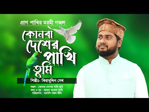 এমন গজল শুনলে মরণের কথা মনে পড়বেই | কোনবা দেশের পাখি তুমি | Heart Touching Sad Gojol | কিরাবুদ্দিন