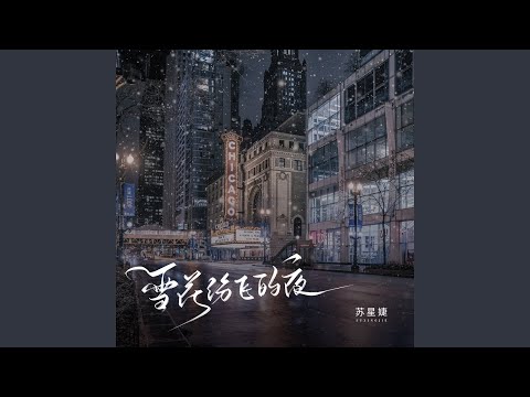 雪花纷飞的夜 (校园广播版)