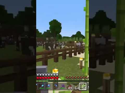 58 seconds of me making books in Minecraft