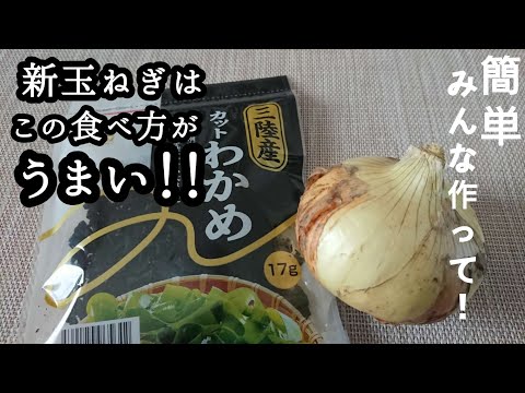 【新玉ねぎとわかめのサラダ】すべての新玉ねぎ好きたちに捧げます/今が旬の新玉ねぎはこの食べ方が絶対オススメです♪