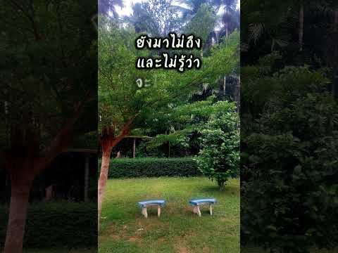 มีชีวิต 3 วัน คำคมชีวิต คำคมกำลังใจ คำคมความรัก คำคมพัฒนาตัวเอง คำคมสร้างแรงบันดาลใจ