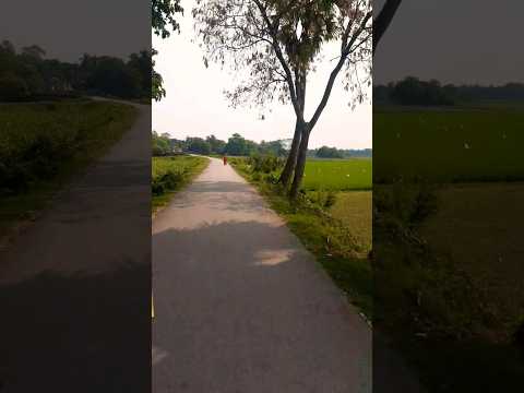 কি সুন্দর আলো ছায়ার খেলা #shortsfeed #travel #shorts #village #nature #narayanganj #dhaka #viral