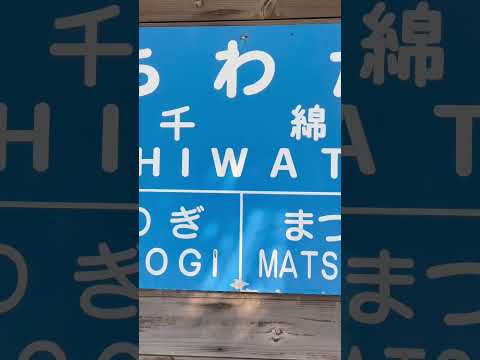 【長崎】絶景の駅知ってる？#japan#長崎#観光　千綿駅