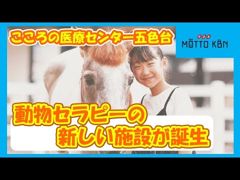 こころの医療センター五色台 動物セラピーの新しい施設が誕生