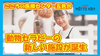 こころの医療センター五色台 動物セラピーの新しい施設が誕生