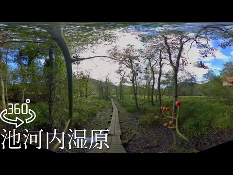 360° Walking tour Ikenokouchi Marsh Japan [8K VR]360° 池河内湿原 散策 福井県敦賀市