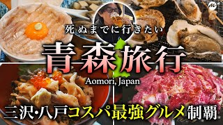 【青森】八戸で欲望のままにはしご酒。ご当地絶品グルメを食べ飲みまくる旅行【八食センター・みろく横丁・平目漬丼・八仙・東北・観光】全国47都道府県制覇の旅