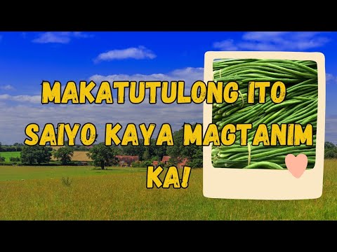 MAGANDANG ITANIM SA BAKURAN!