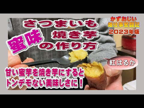 さつまいもの甘い蜜味焼き芋の作り方～トンデモない美味しさに！：2023年版