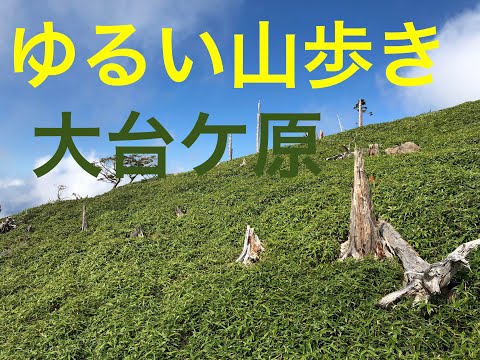 「大台ヶ原」ゆるい山歩き