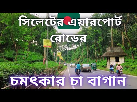 সিলেটের এয়ারপোর্ট রোডের চমৎকার চা বাগান ||  Malnicherra & Lakkatura, In Sylhet, Bangladesh