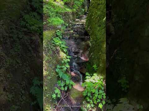 【季節の名所紹介：鞍馬寺】