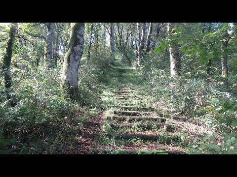 朝鍋鷲ケ山～金ケ谷山縦走