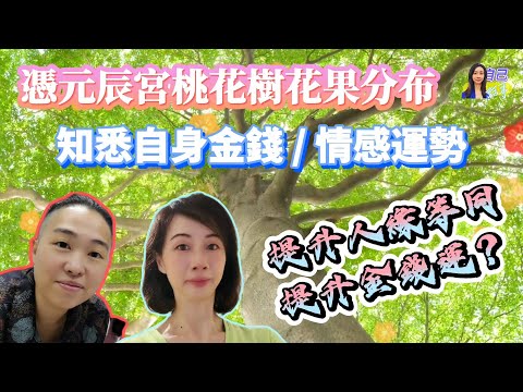 【元辰宮】元辰宮桃花樹調整人緣姻緣與金錢運？ | EP0051 20240813 #自己話事 #阿娜 #曾悟真 #身心靈 #阿卡西 #臼井靈氣 #希塔治療 #元辰宮 #桃花樹 #人緣 #姻緣運 #財運