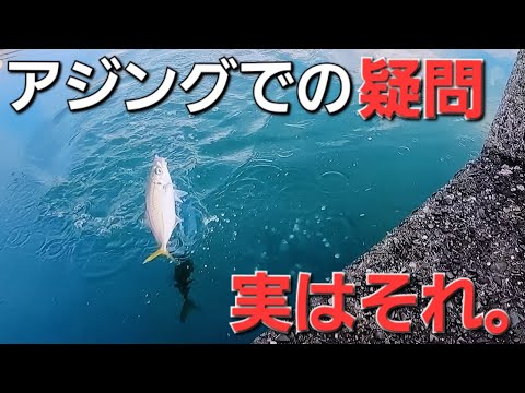 【アジング基礎】あなたの県は該当しますか。鯵が全国で有名な県は？シーズンによる釣り分けなど答えてみた