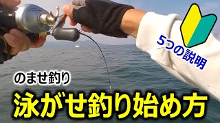 【入門マニュアル】泳がせ(ノマセ)釣り