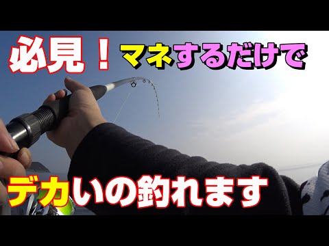 大物は初心者でも釣れます！サビキ釣りから次のステップへ！【68釣目】