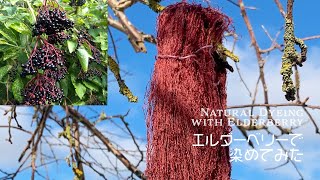 時に失敗も！？草木染め【Natural Dyeing②】Elderberry / エルダーベリーで染めてみた / Botanical Dyes / Eco Dyeing / 染色