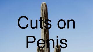 Cuts on penis? Causes and treatment . Dr. Aman Gupta