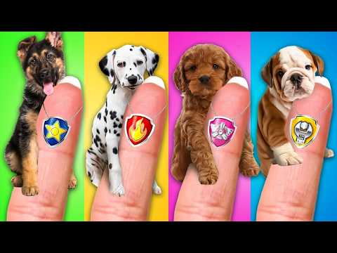 Genius Hacks for Pet Owners! 😢 Save This Cute Little Puppy! We Adopted Paw Patrol by CoCoGo!