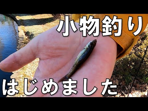 はじめての小物釣り 近所の水辺で手軽に楽しめる ハマりました