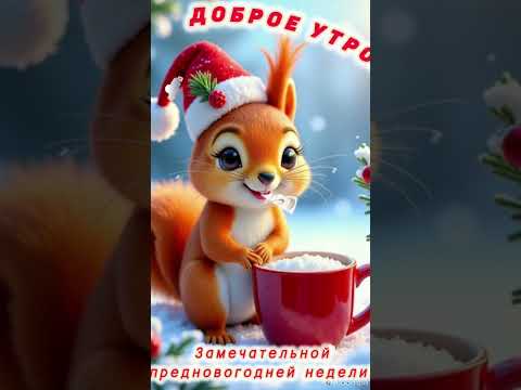 Доброе утро💖 Добрых вестей,радостных событий 💞Чудесного дня❄️🌲❄️