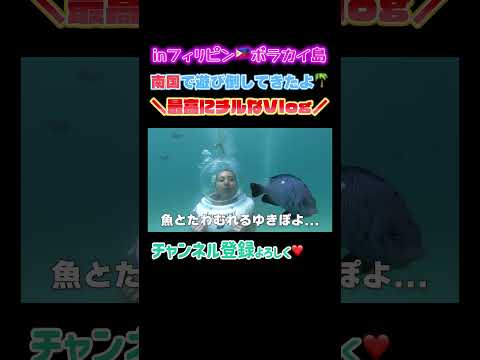 本編は⬆️⬆️🧜‍♀️🐟🐡🐠🤿🪼【ゆきぽよチャンネル】