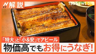 土用の丑の日　20代は4割弱が「食べない」物価高でもお得に冷凍食品や回転すしでうなぎを【Nスタ解説】｜TBS NEWS DIG